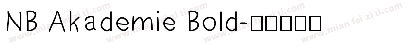 NB Akademie Bold字体转换